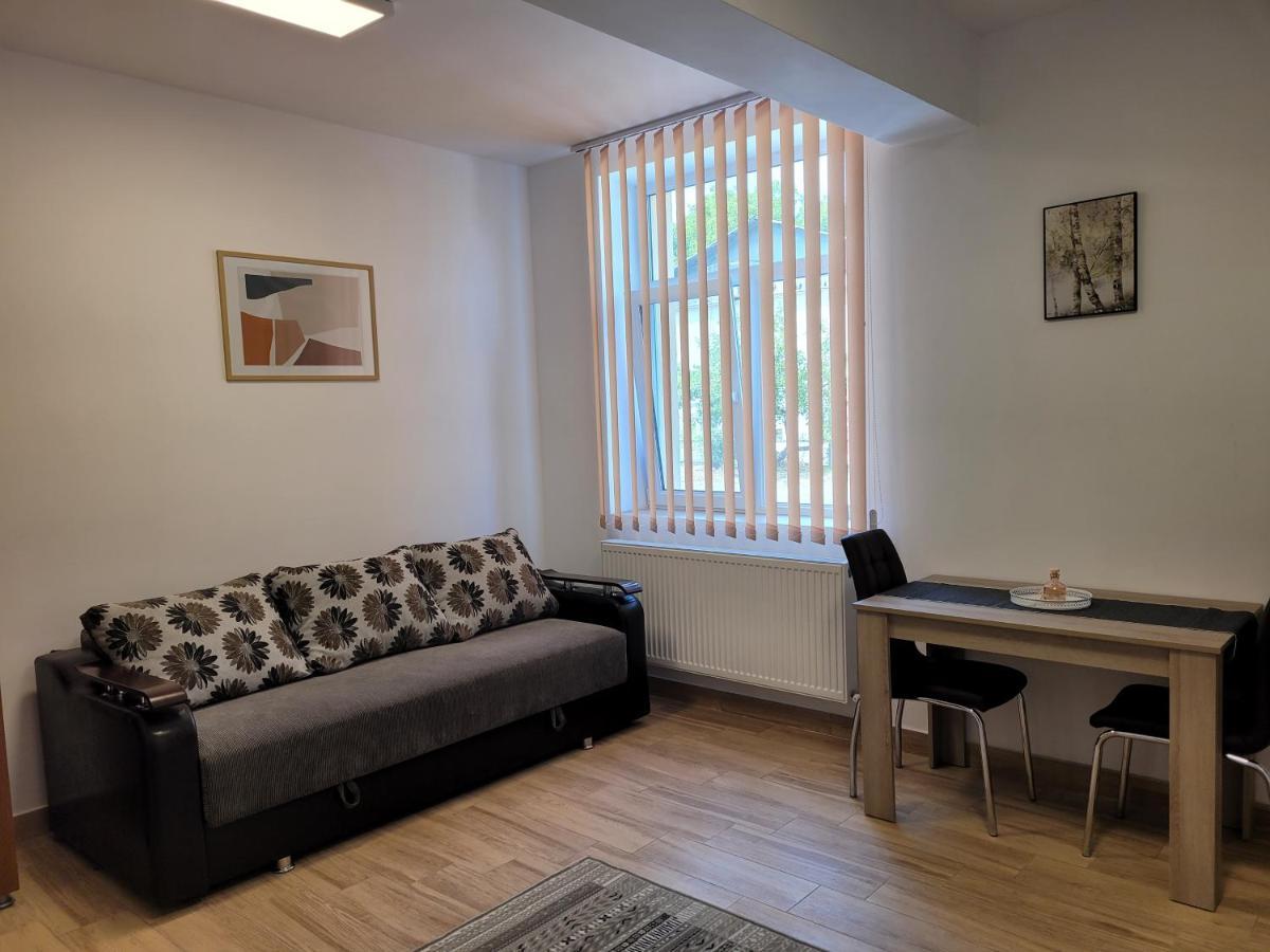 Apartamente Livada Râmnicu Vâlcea エクステリア 写真