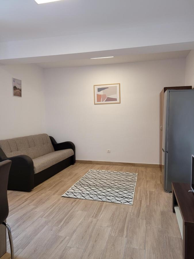 Apartamente Livada Râmnicu Vâlcea エクステリア 写真